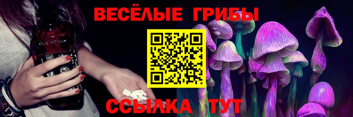 Волгоград  Псилоцибиновые грибы Cubensis  Вход с VPN 